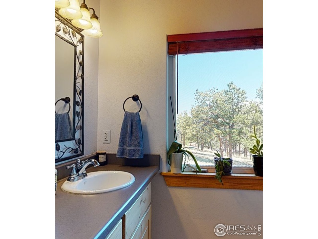 1925 Old Ranch Road Livermore, CO 80536 - Photo 15 of 40 Gallery Image 15