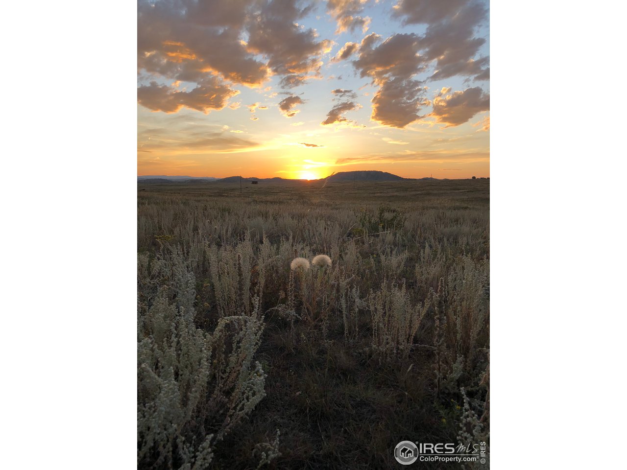 1925 Old Ranch Road Livermore, CO 80536 - Photo 26 of 40 Speaks for itself...