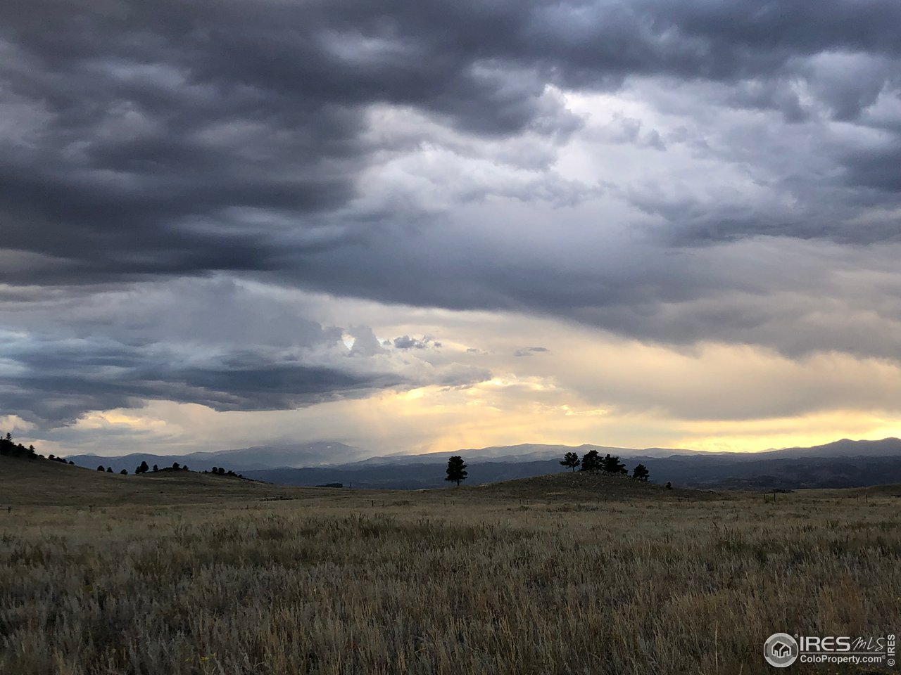 1925 Old Ranch Road Livermore, CO 80536 - Photo 27 of 40 Perfect pasture for horses or cattle!