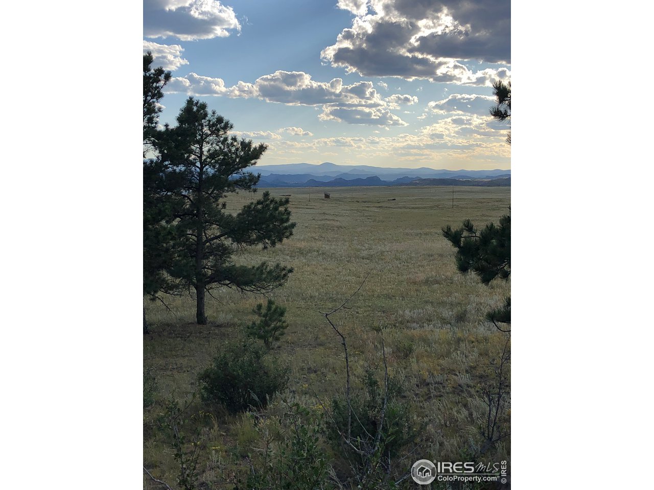 1925 Old Ranch Road Livermore, CO 80536 - Photo 28 of 40 Gorgeous Mountain Views!