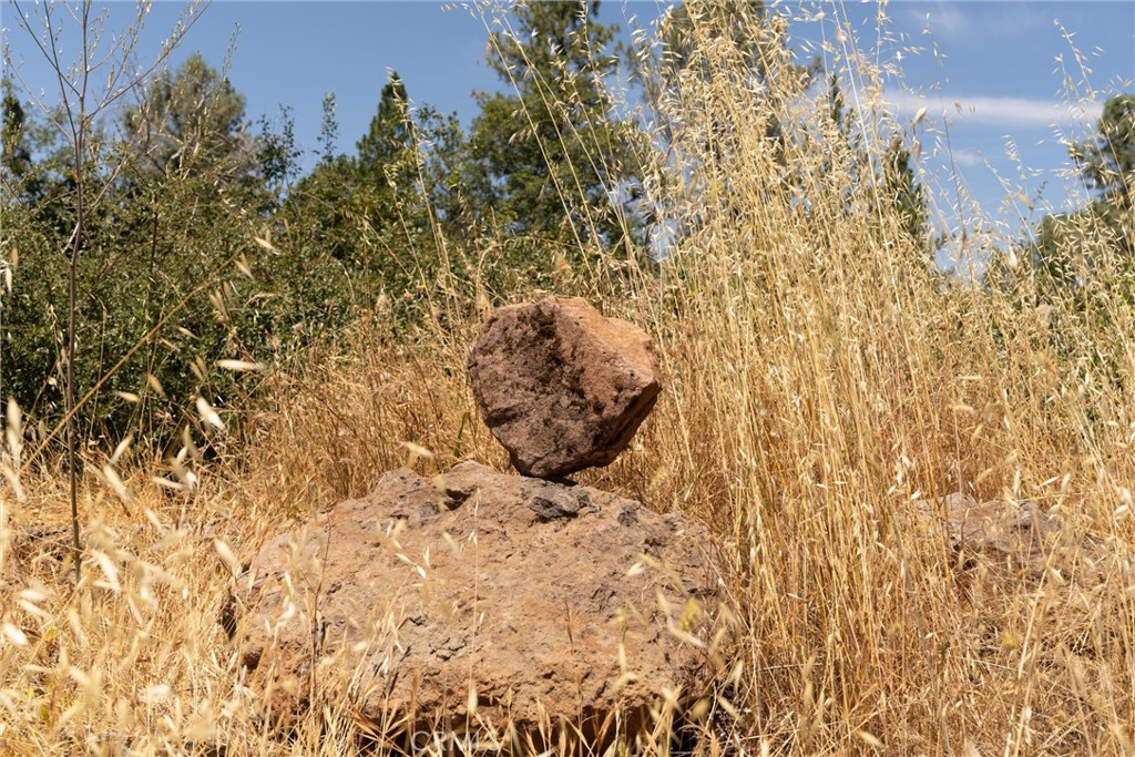 0 Doe Mill Road Forest Ranch, CA 95942 - Photo 22 of 50