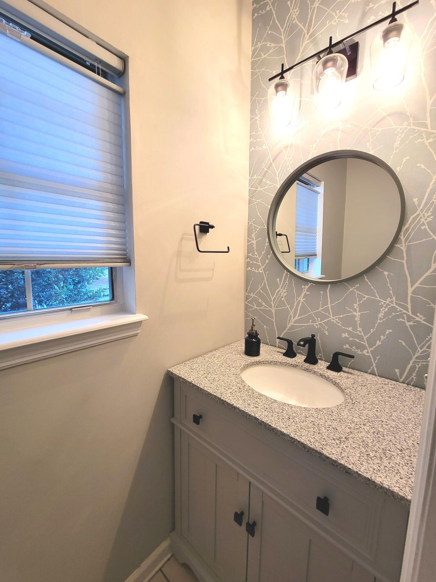 3260 Heathland Way Mount Pleasant, SC 29466 - Photo 11 of 27 20220209_173130 (edited) (1)