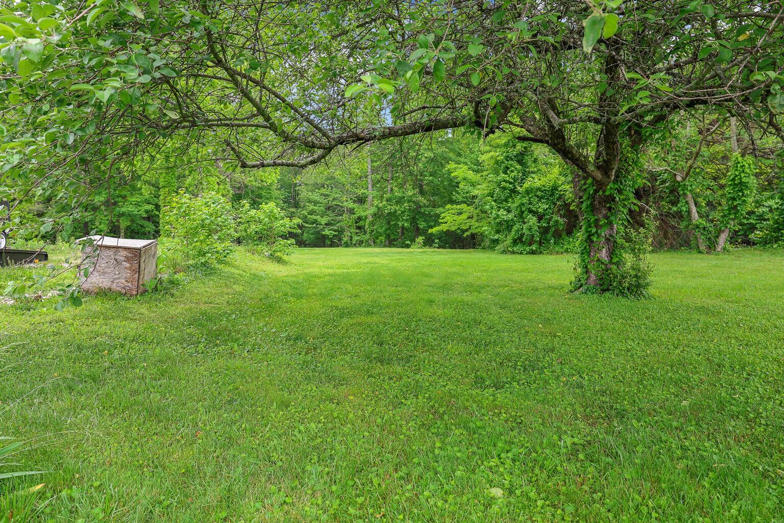 4306 Fredonia Road Dunlap, TN 37327 - Photo 26 of 30 20250519210802598840000000-o