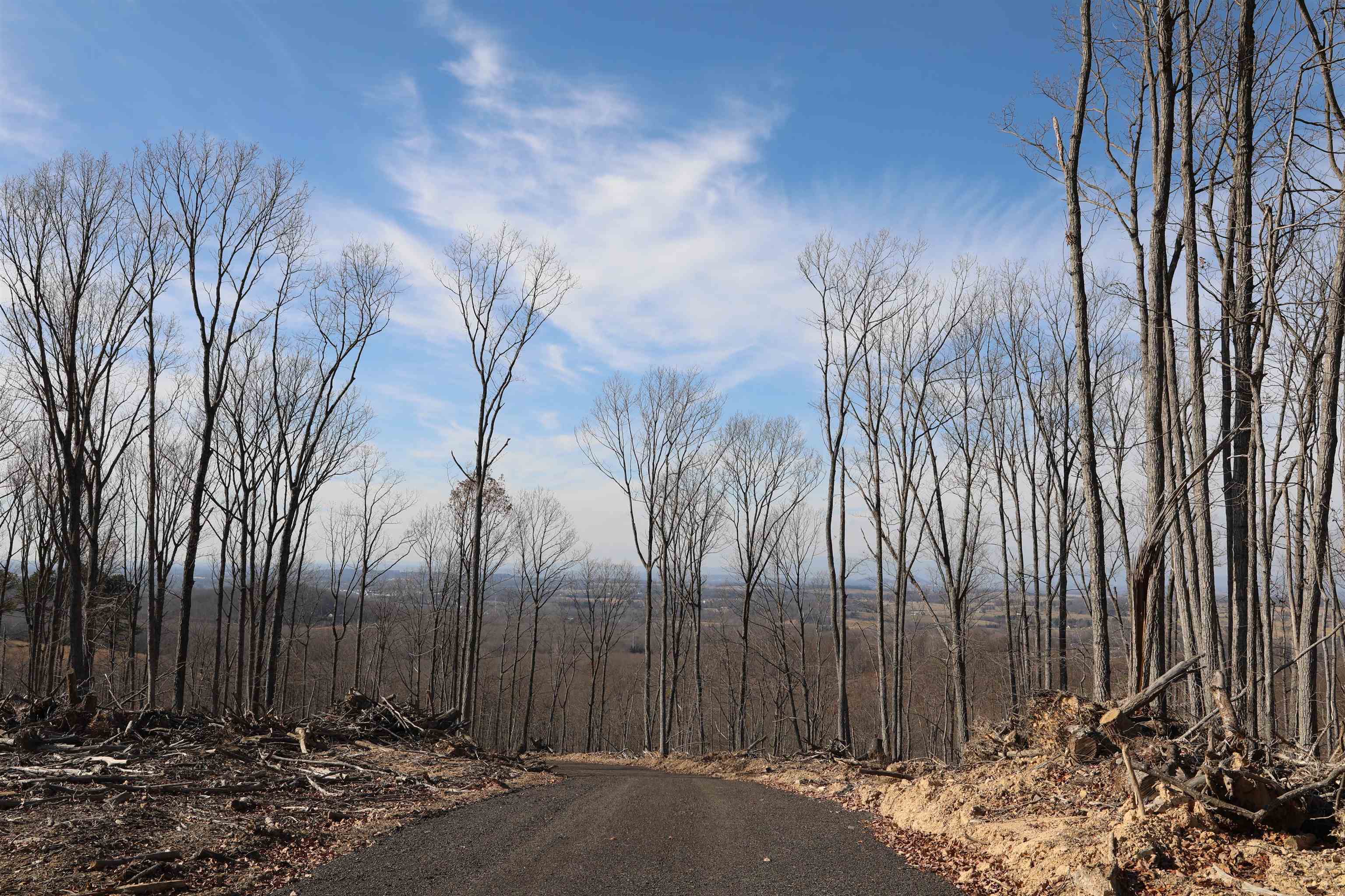 Tbd Calf Mountain Road Waynesboro, VA 22980 - Photo 11 of 39