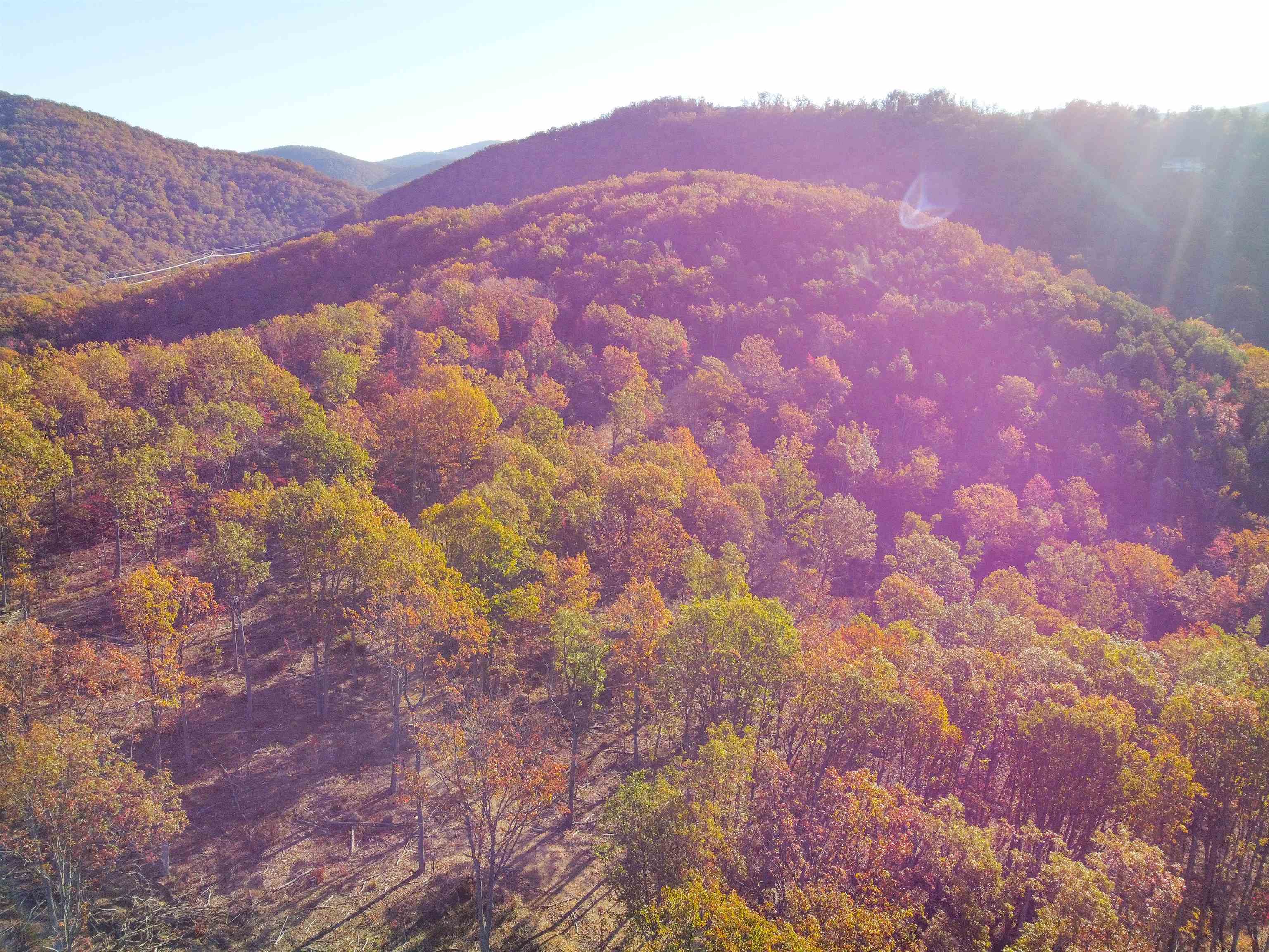 Tbd Calf Mountain Road Waynesboro, VA 22980 - Photo 14 of 39