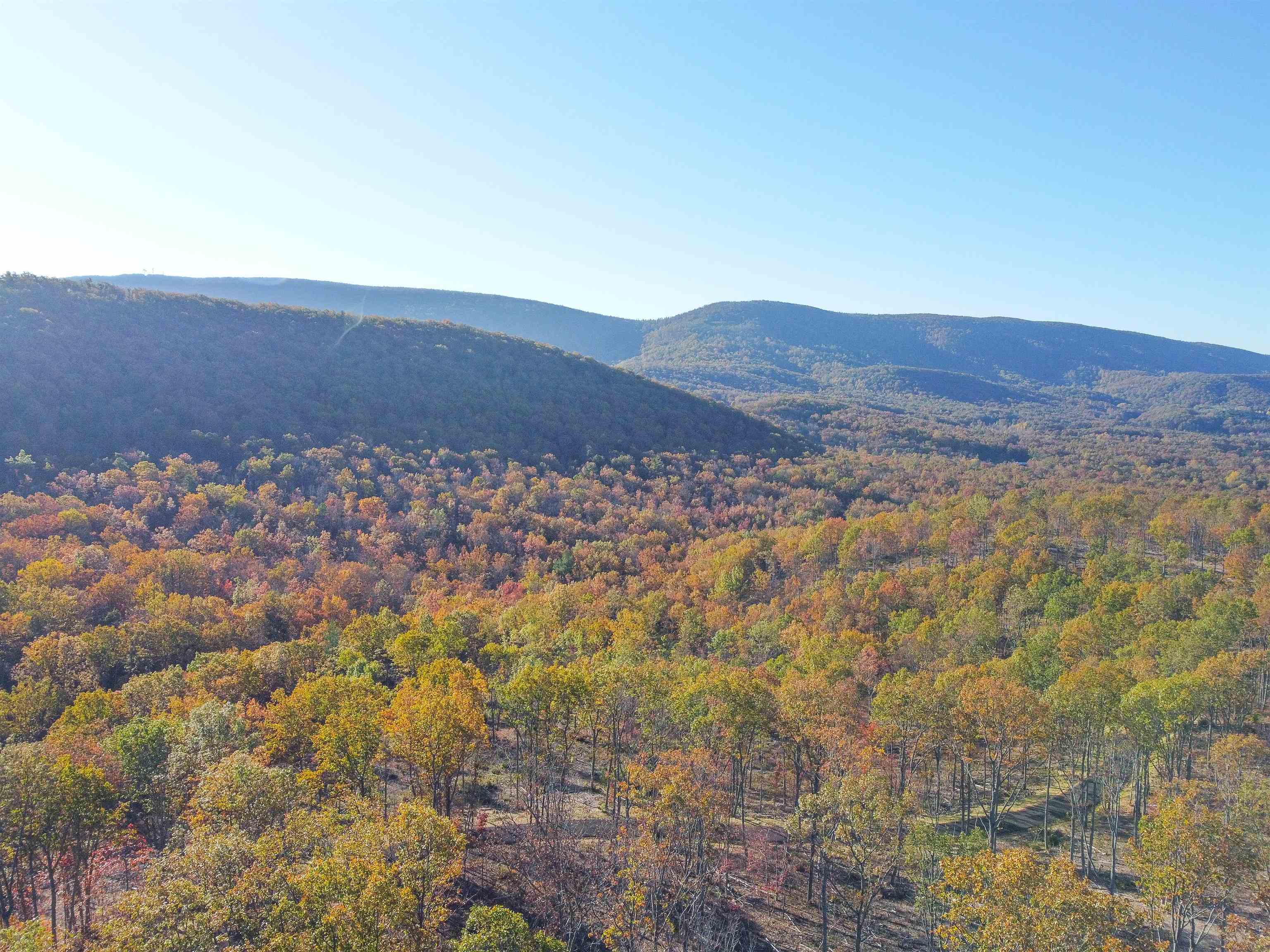 Tbd Calf Mountain Road Waynesboro, VA 22980 - Photo 15 of 39