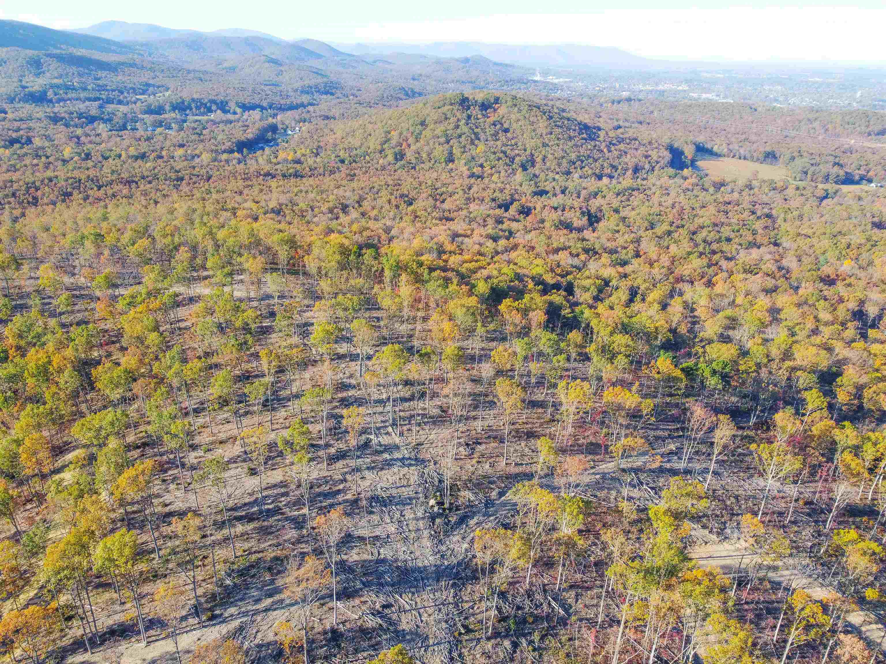 Tbd Calf Mountain Road Waynesboro, VA 22980 - Photo 16 of 39