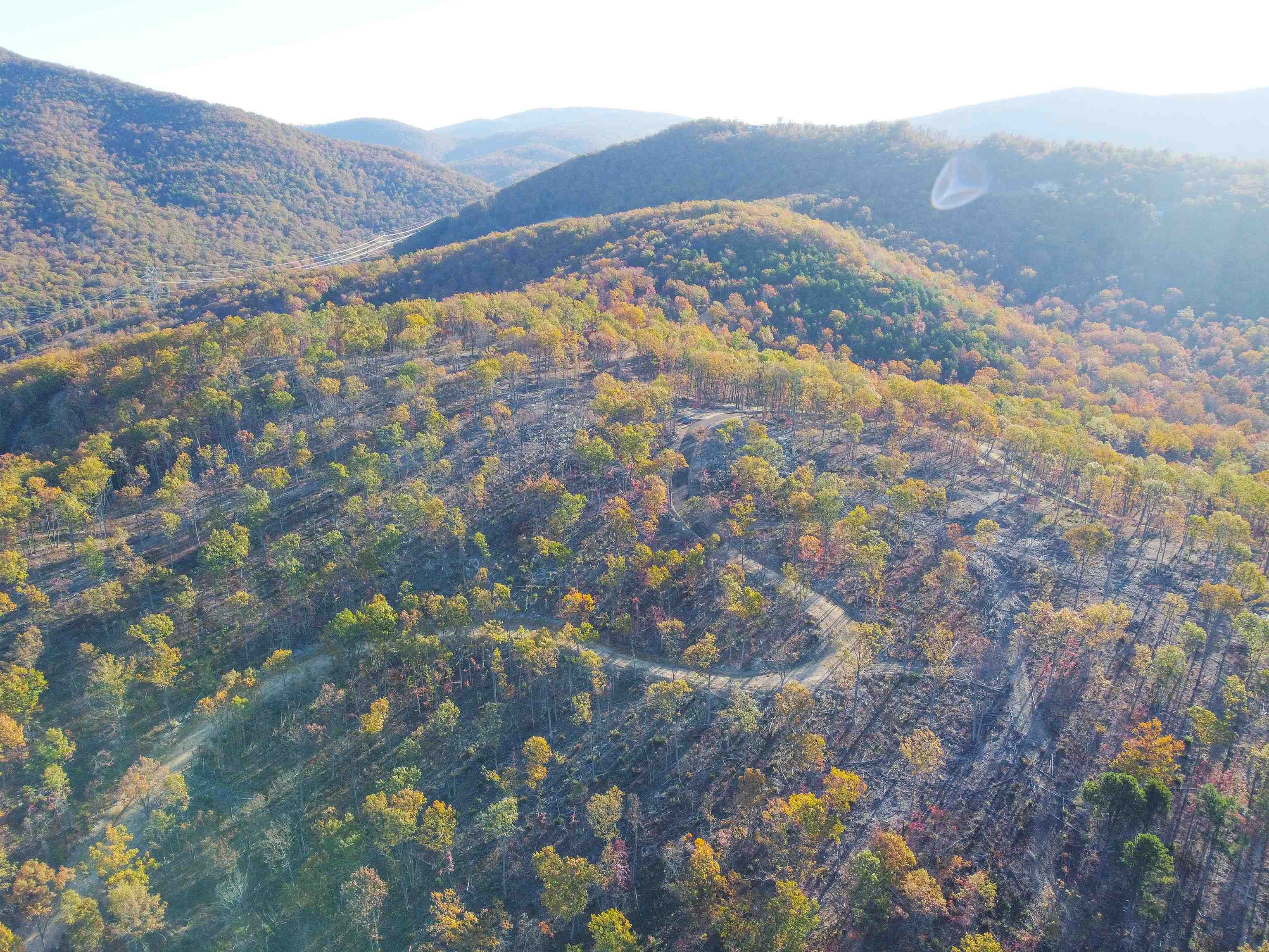 Tbd Calf Mountain Road Waynesboro, VA 22980 - Photo 18 of 39