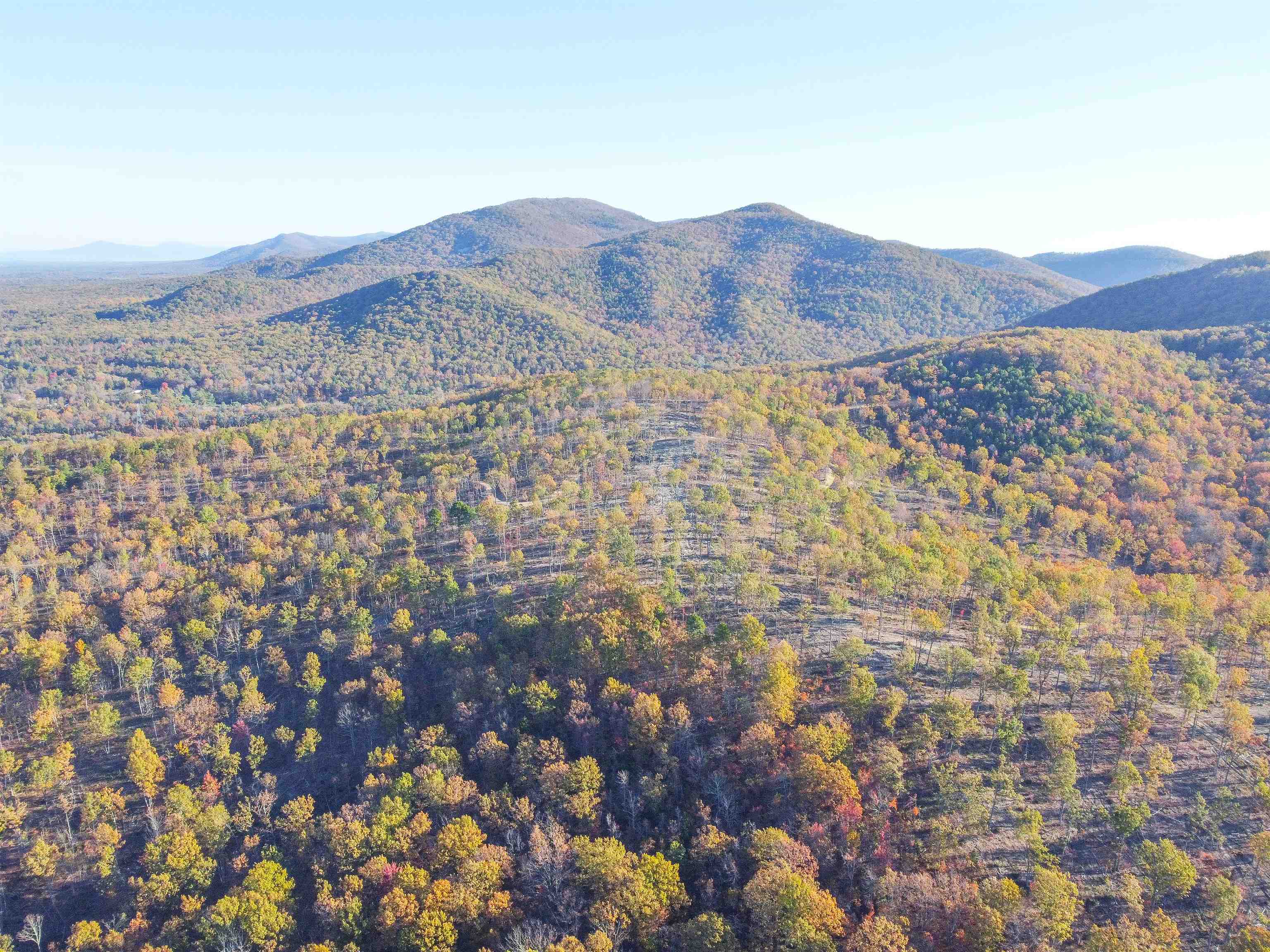 Tbd Calf Mountain Road Waynesboro, VA 22980 - Photo 20 of 39