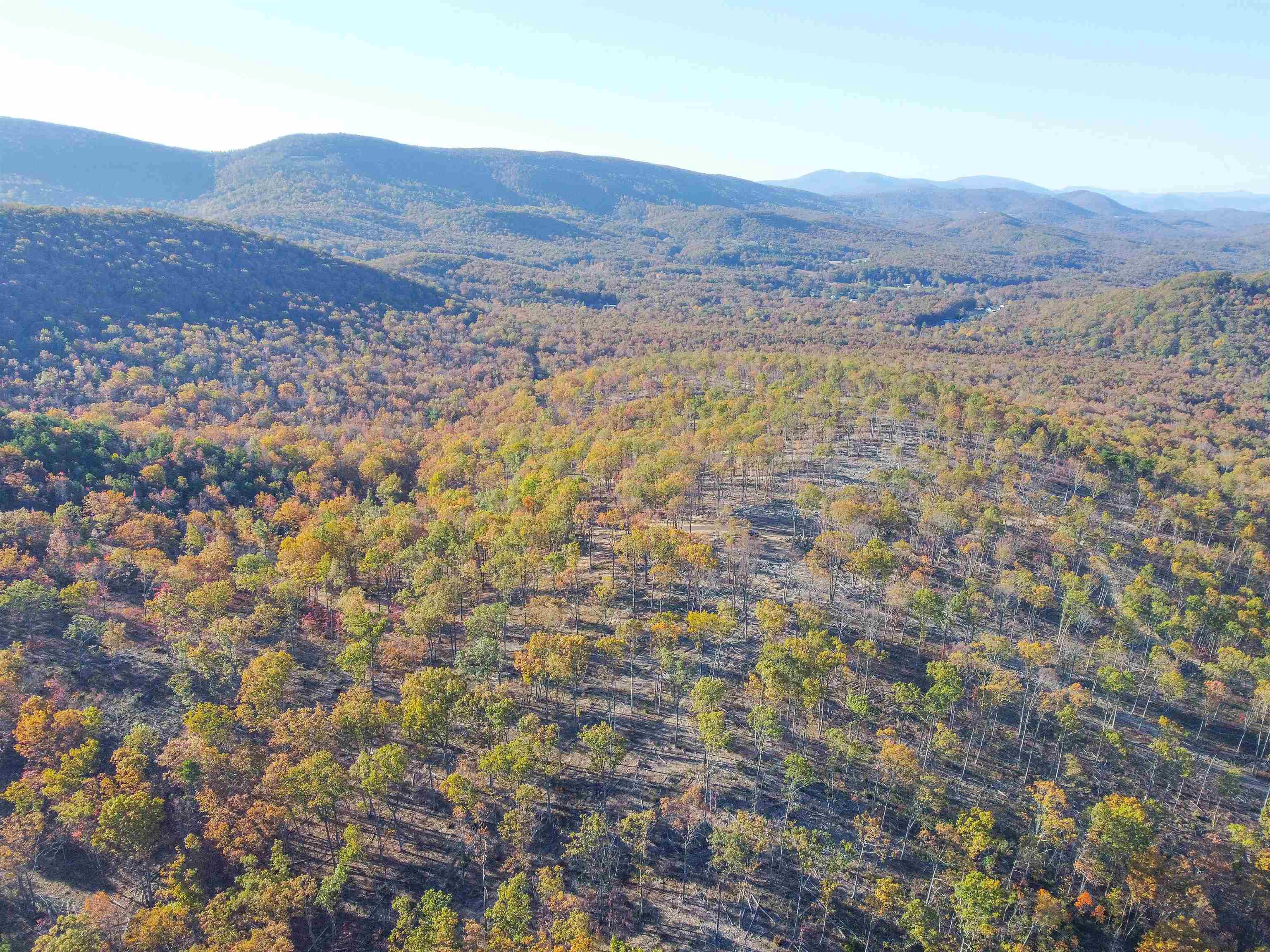 Tbd Calf Mountain Road Waynesboro, VA 22980 - Photo 31 of 39