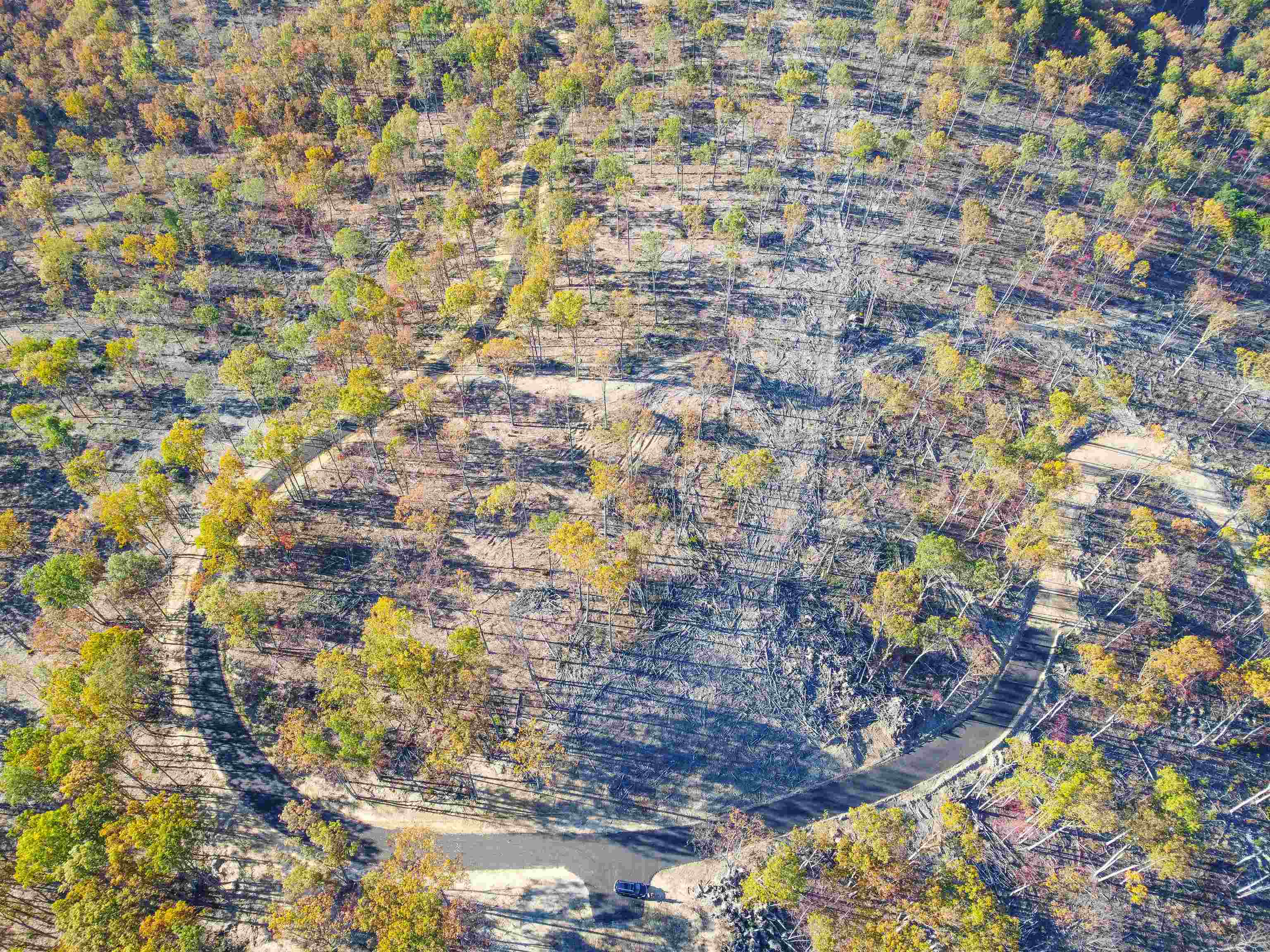 Tbd Calf Mountain Road Waynesboro, VA 22980 - Photo 32 of 39