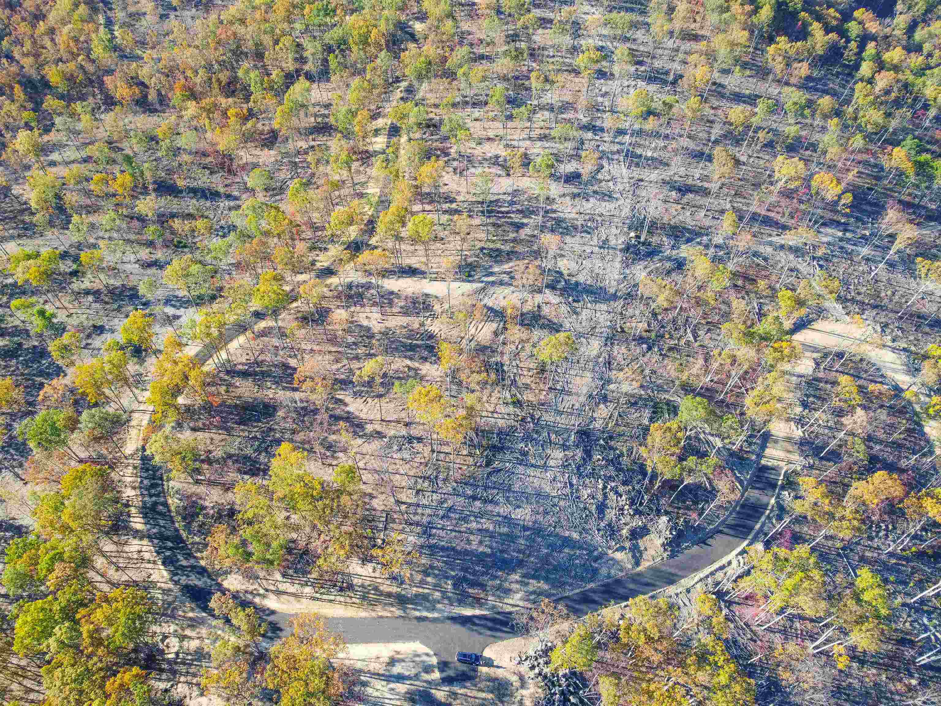 Tbd Calf Mountain Road Waynesboro, VA 22980 - Photo 33 of 39