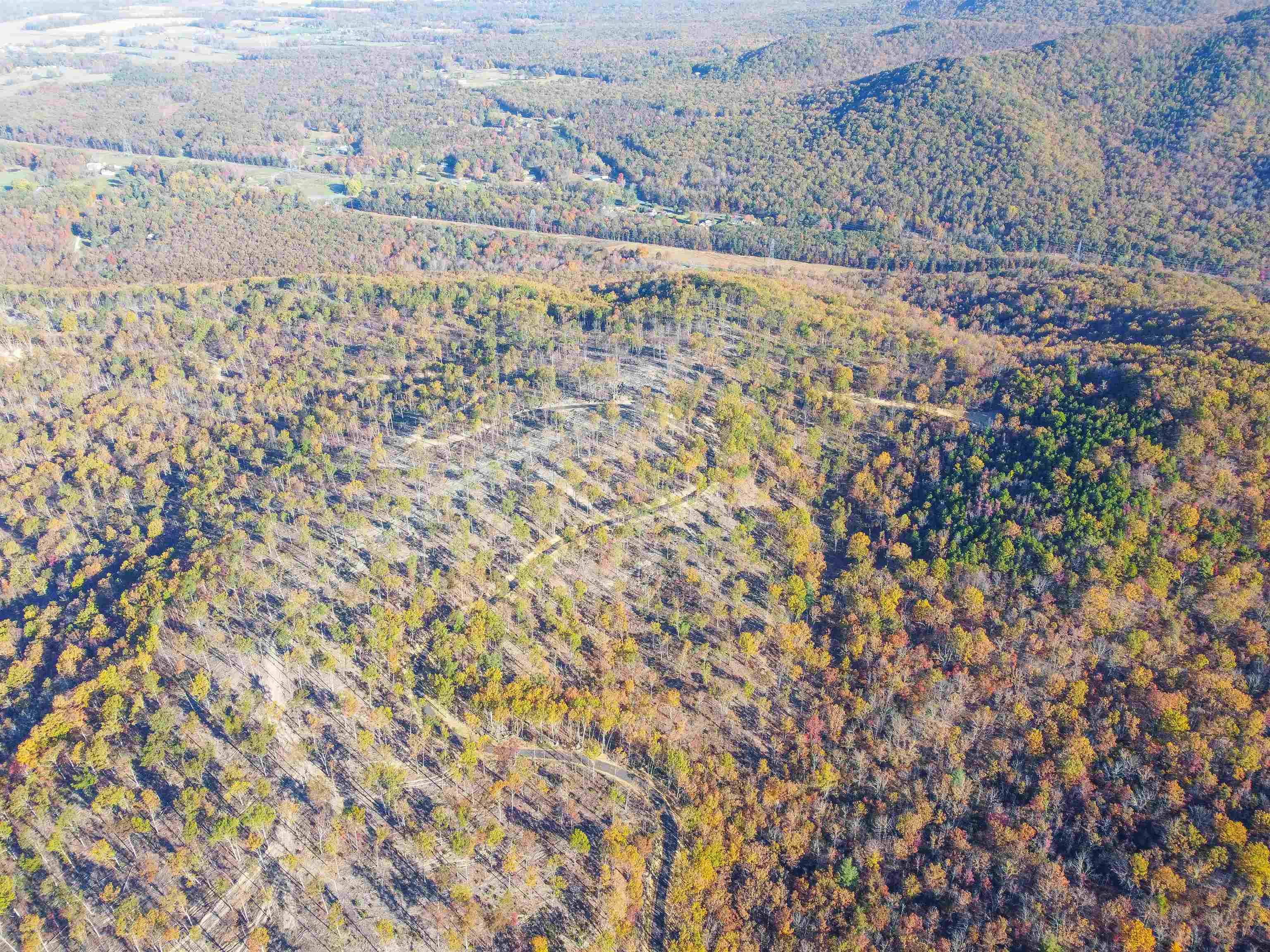 Tbd Calf Mountain Road Waynesboro, VA 22980 - Photo 35 of 39