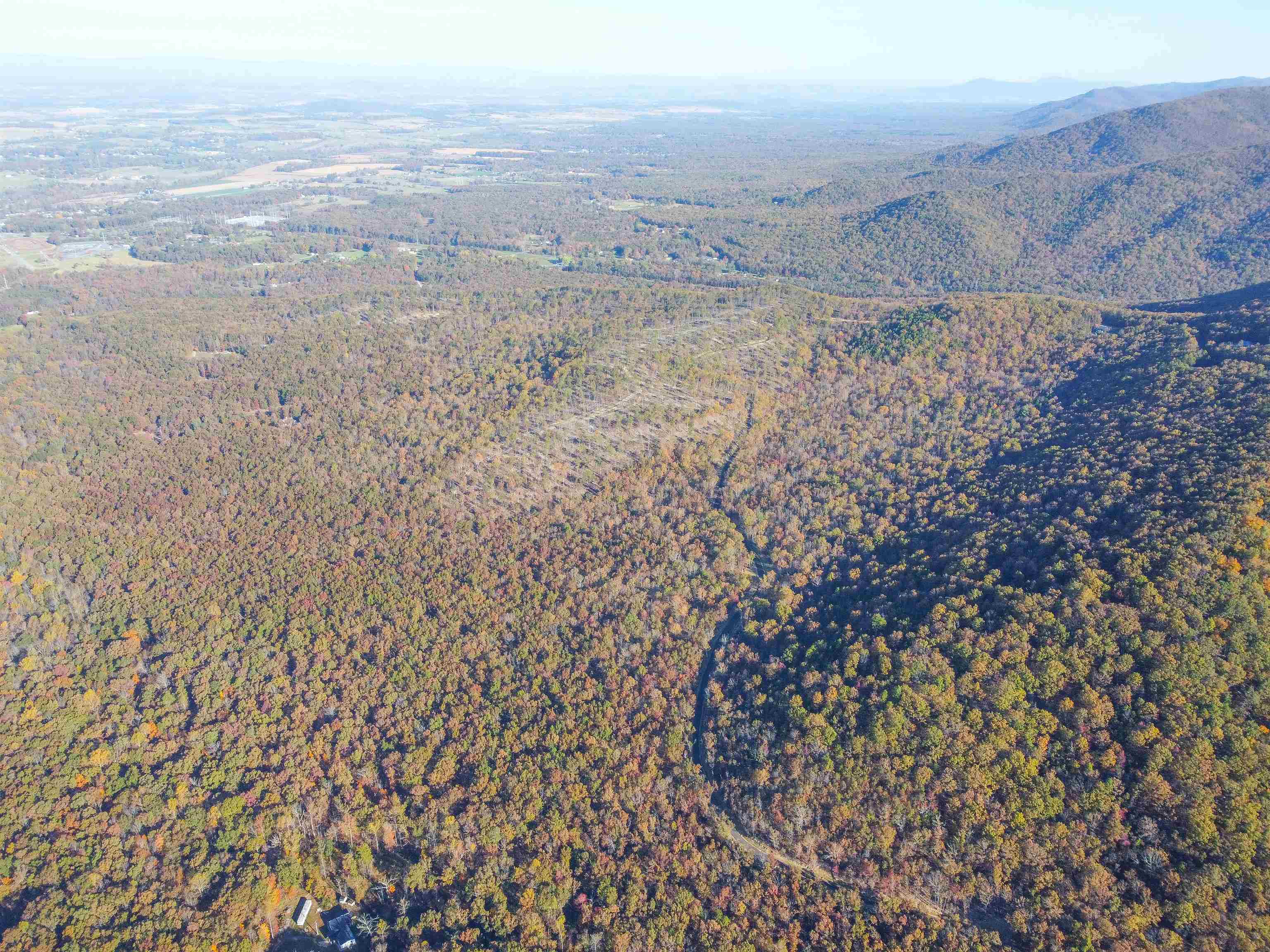 Tbd Calf Mountain Road Waynesboro, VA 22980 - Photo 37 of 39