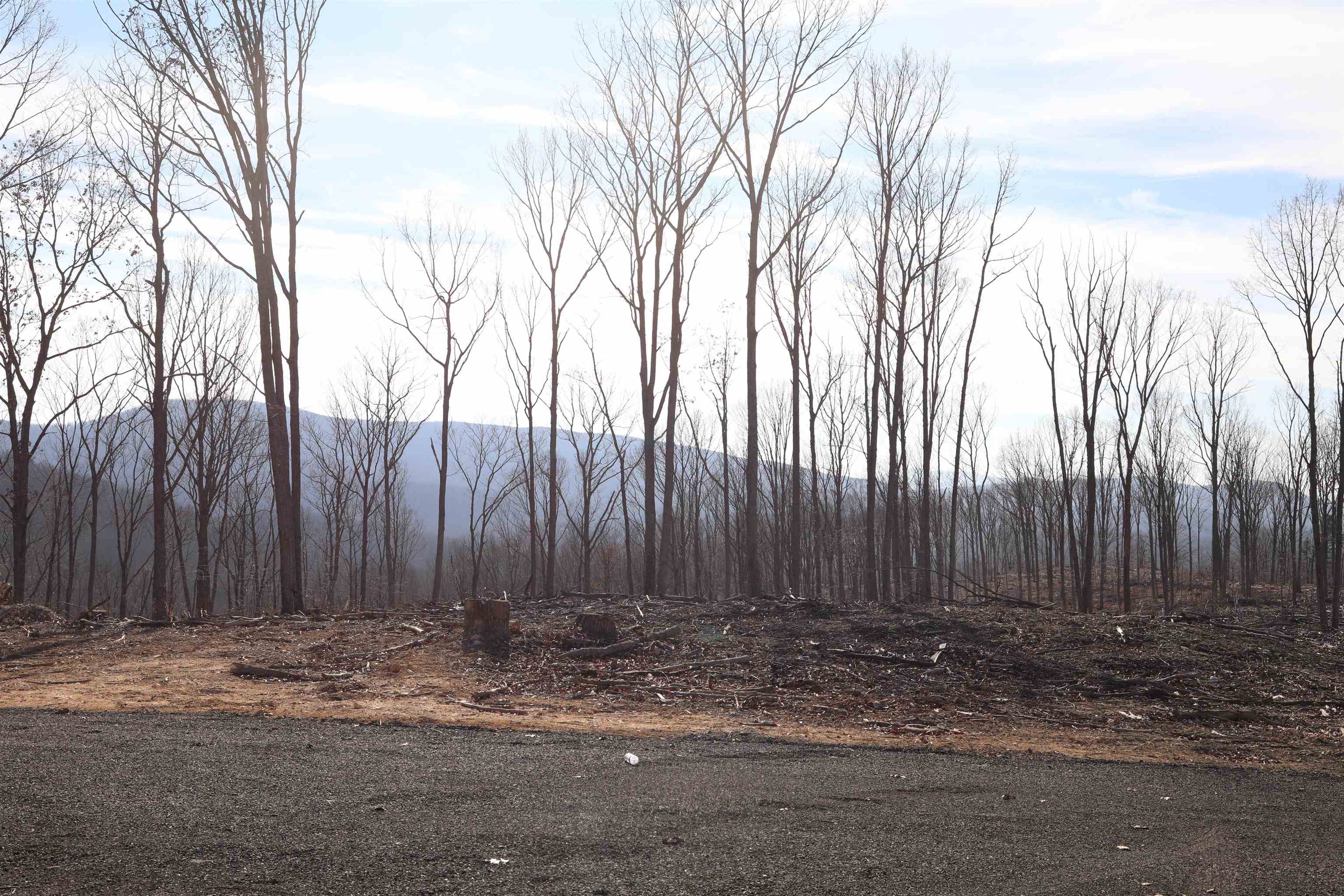 Tbd Calf Mountain Road Waynesboro, VA 22980 - Photo 4 of 39