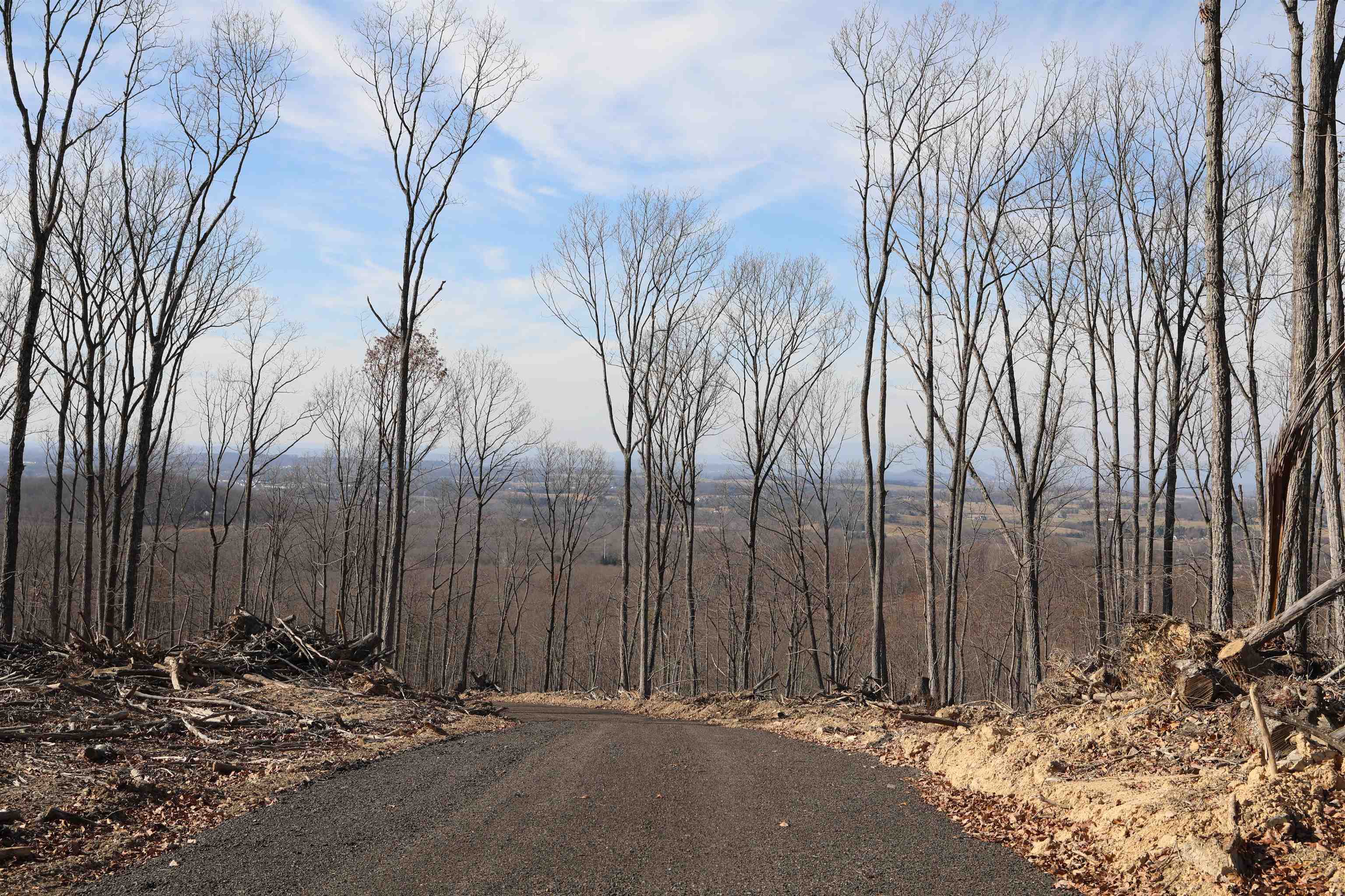Tbd Calf Mountain Road Waynesboro, VA 22980 - Photo 10 of 39