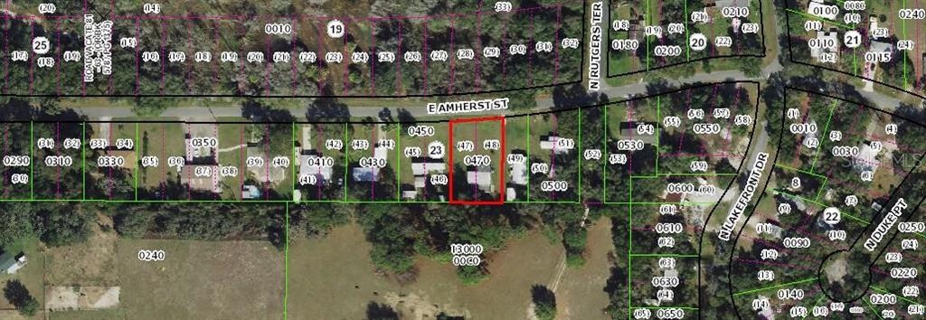4610 East Amherst Street Hernando, FL 34442 - Photo 6 of 36