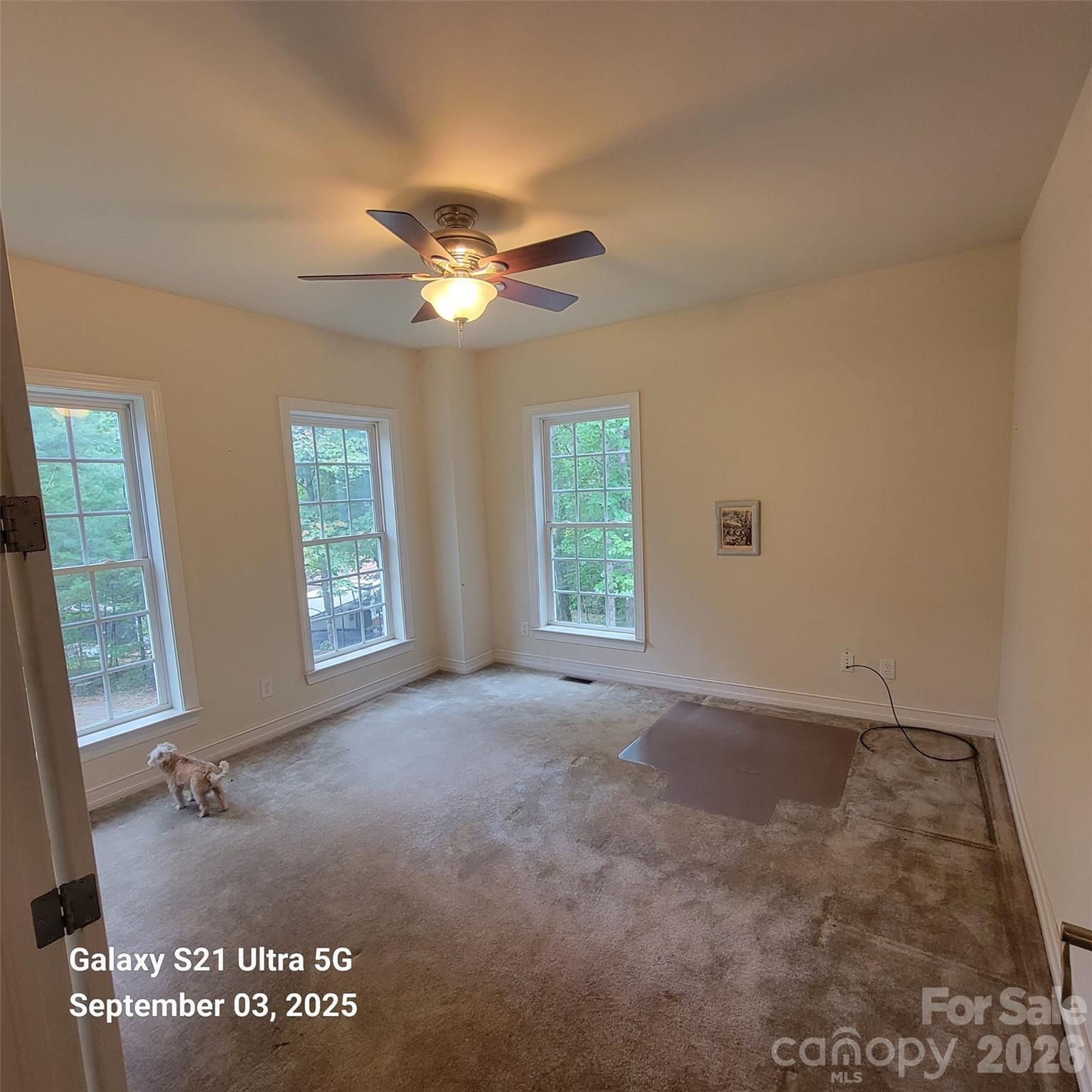 31 Reeds Creek Road Fairview, NC 28730 - Photo 22 of 36