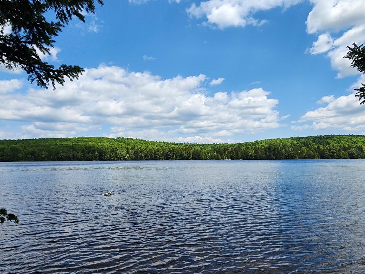 Lot A Lot A Deer Point Road Robbinston, ME 04671 - Photo 2 of 18 20250611_120623