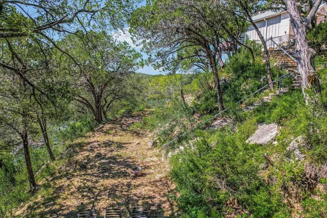 a view of a forest with trees