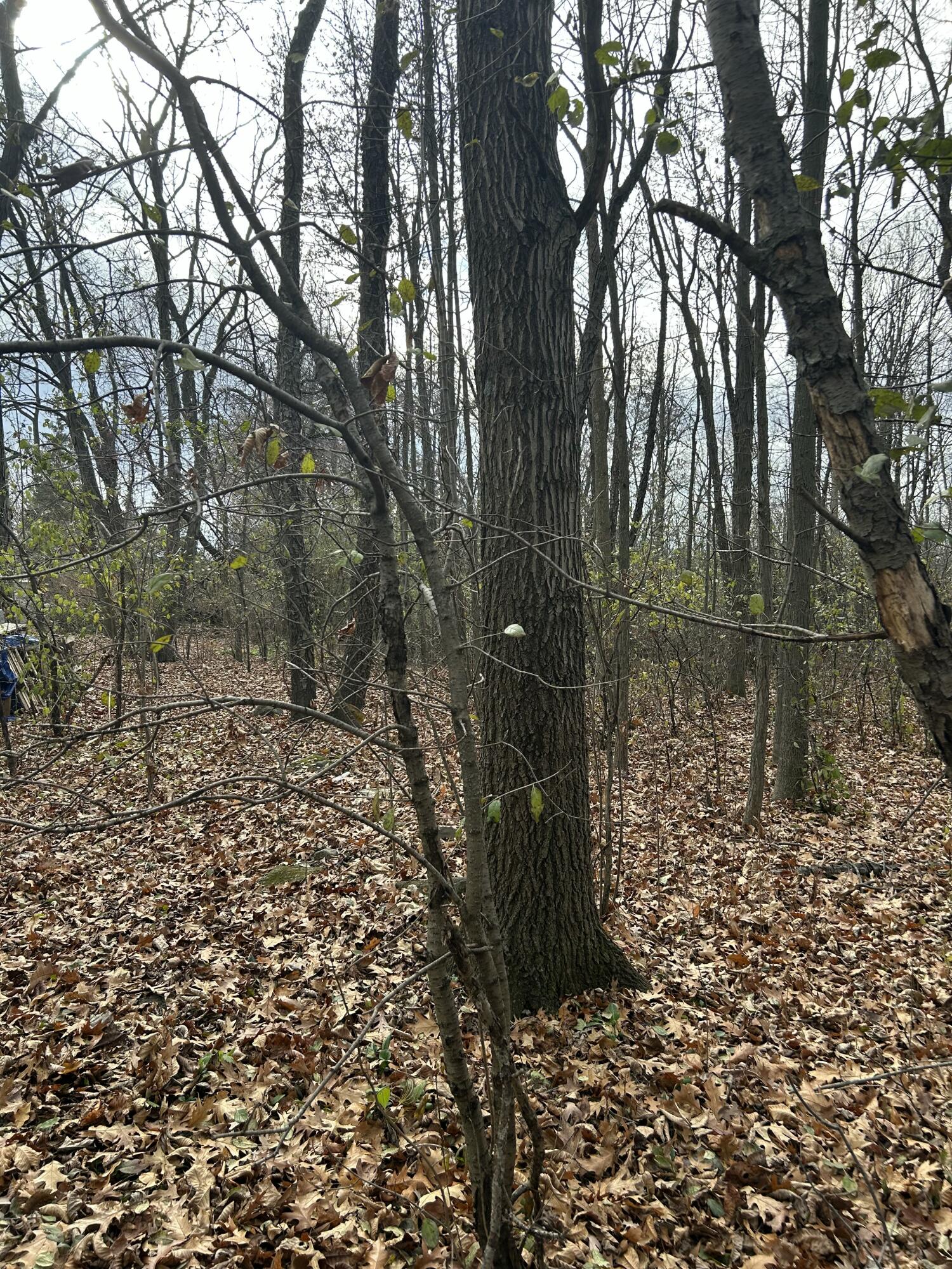 W863 County Road B Osceola, WI 53010 - Photo 9 of 14 IMG_1774