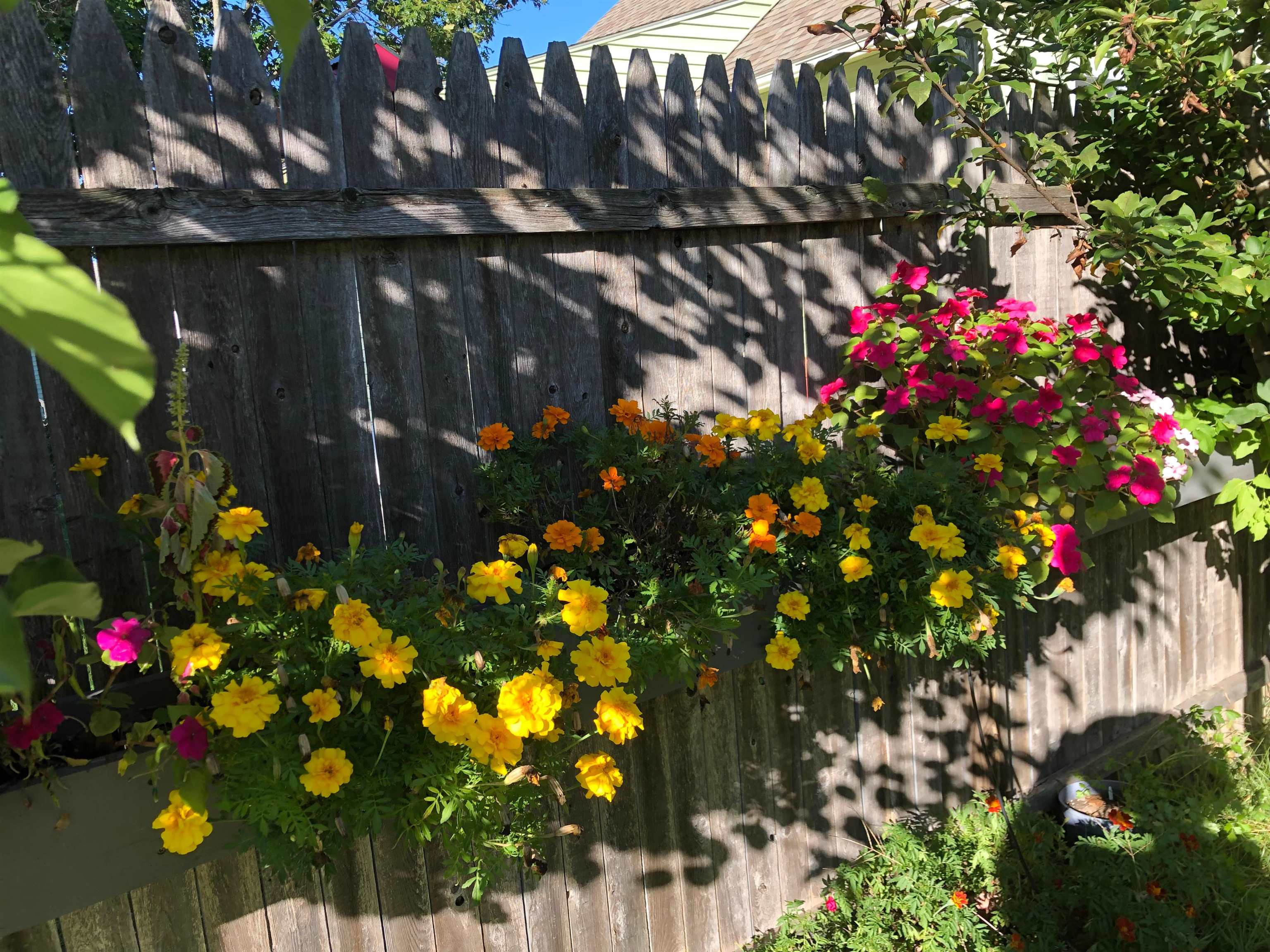 12 Fernand Street Manchester, NH 03103 - Photo 30 of 30