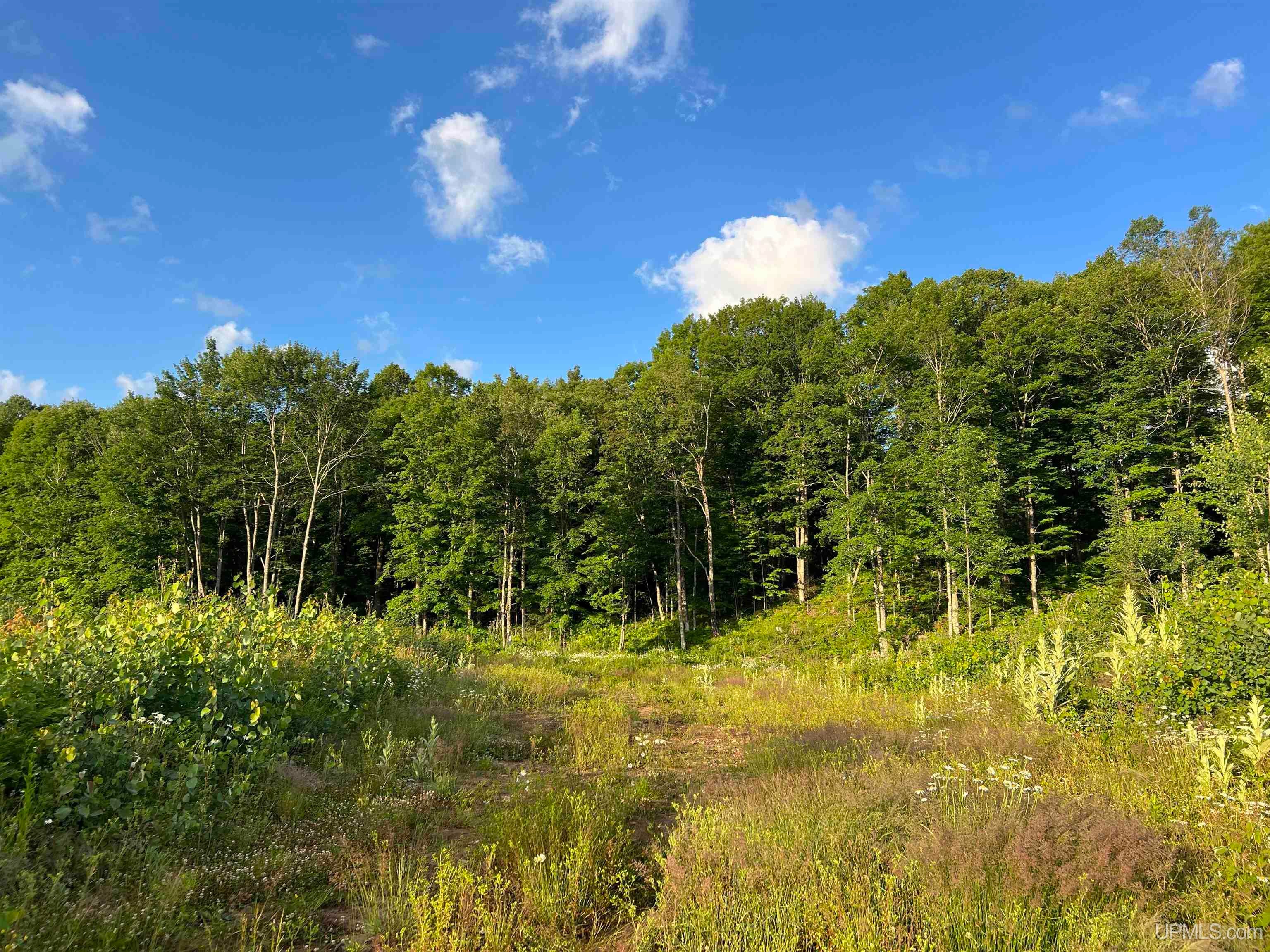 Tbd Kuivila Road Ironwood, MI 49938 - Photo 24 of 57 Gallery Image 24