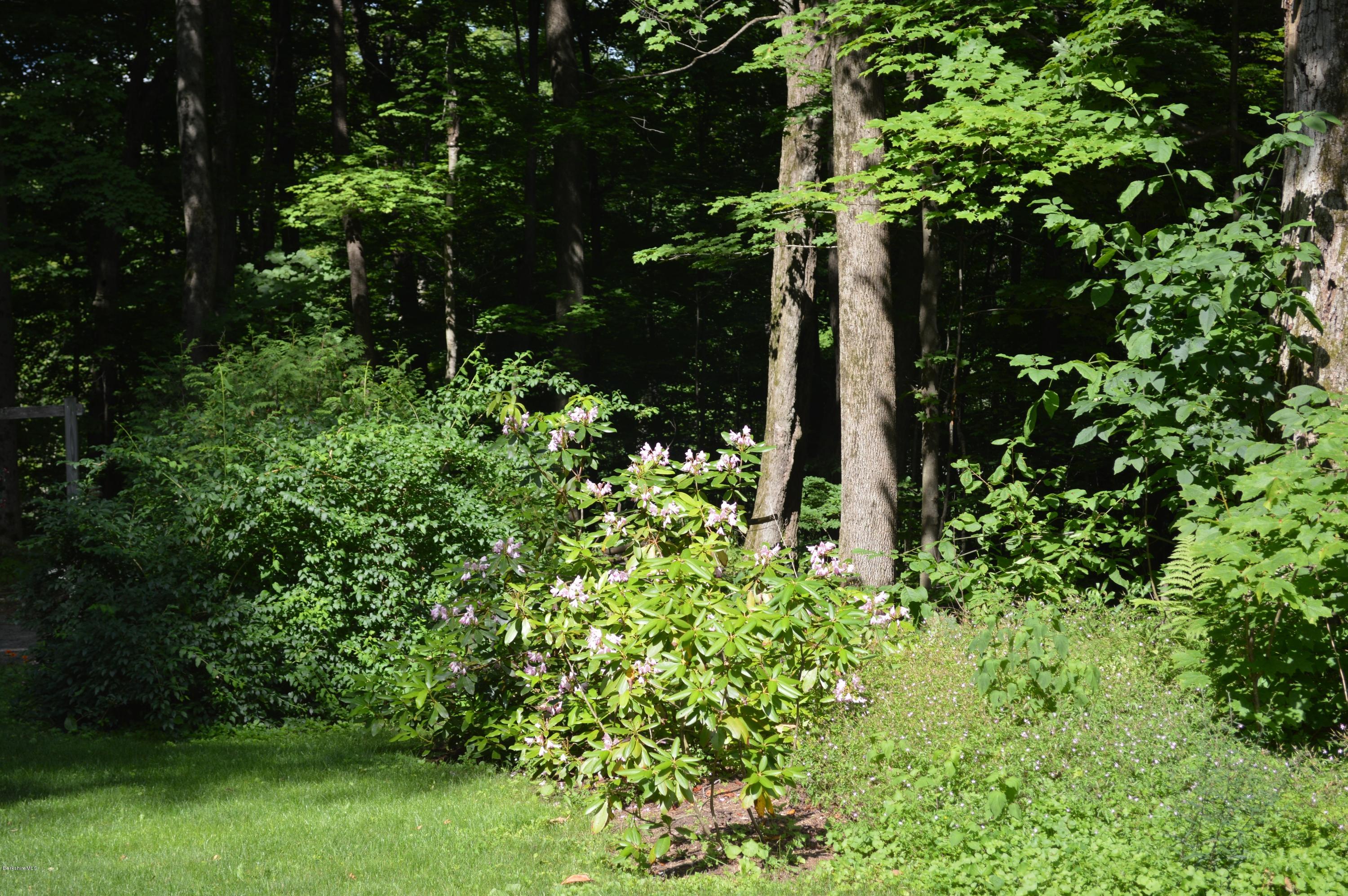 456 Summit Road Richmond, MA 01254 - Photo 22 of 34 mature plantings