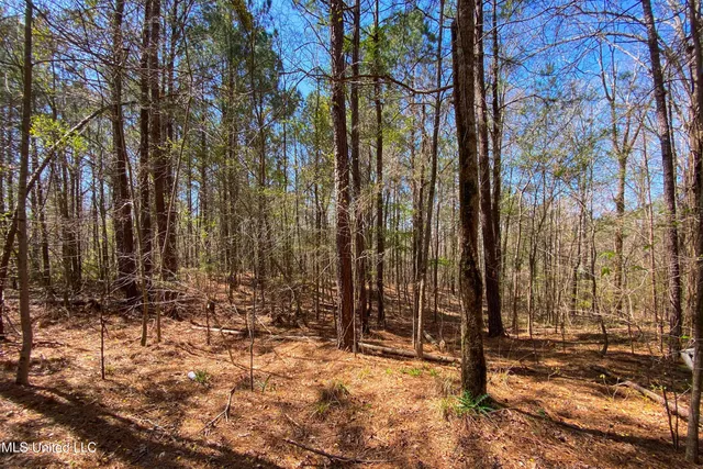 $390,000 | 481 Ward Road, Florence, MS 39073