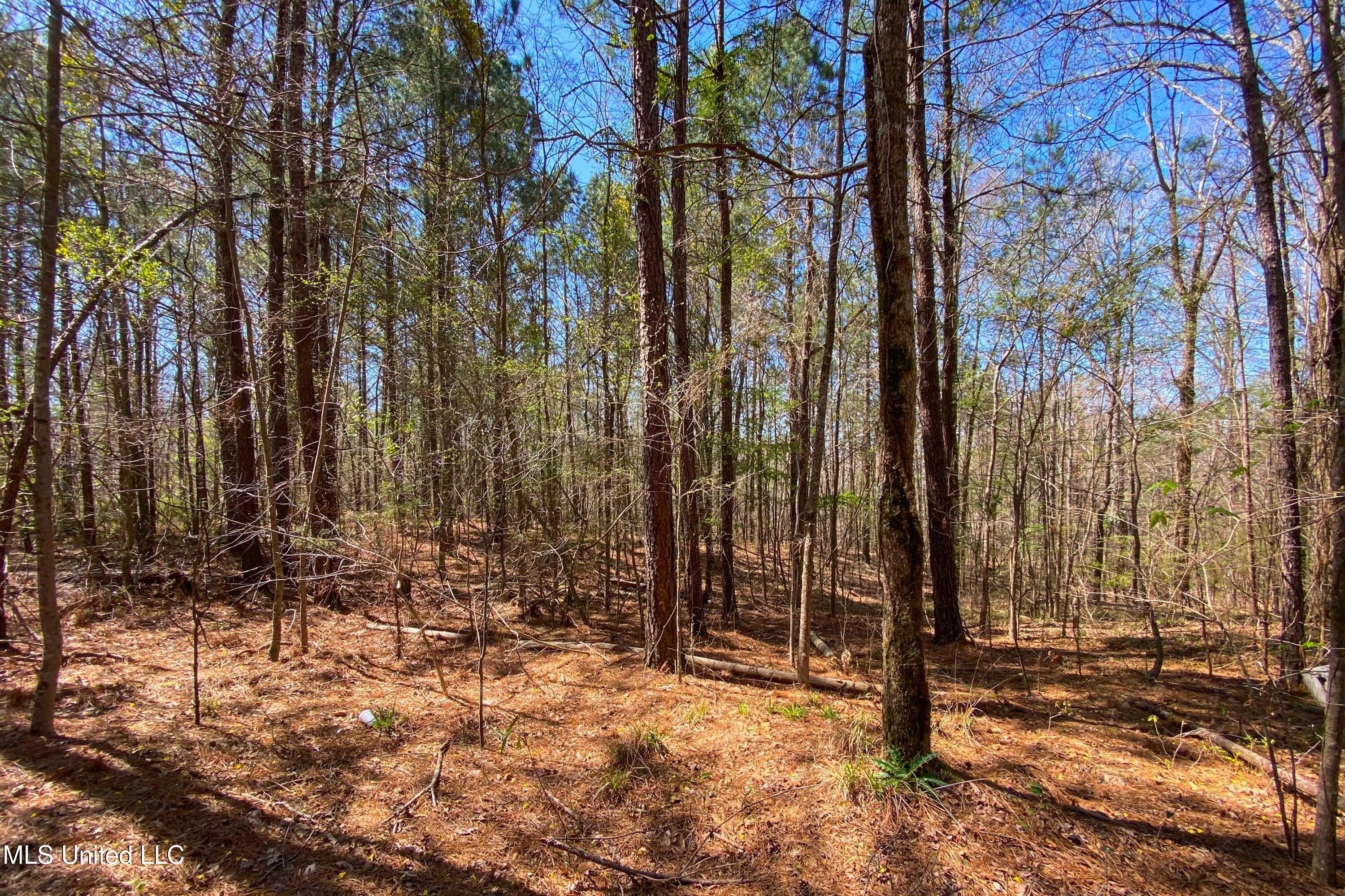 481 Ward Road Florence, MS 39073 - Photo 17 of 21 547F3436-C509-4859-A5FA-EB0BFBDCB943