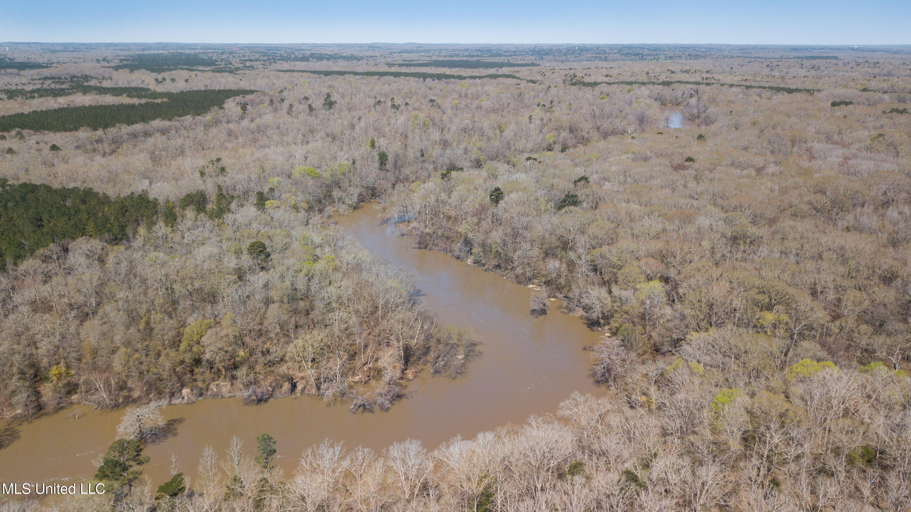 481 Ward Road Florence, MS 39073 - Photo 4 of 21 E21380F5-2493-4936-9F8D-605C10763F36