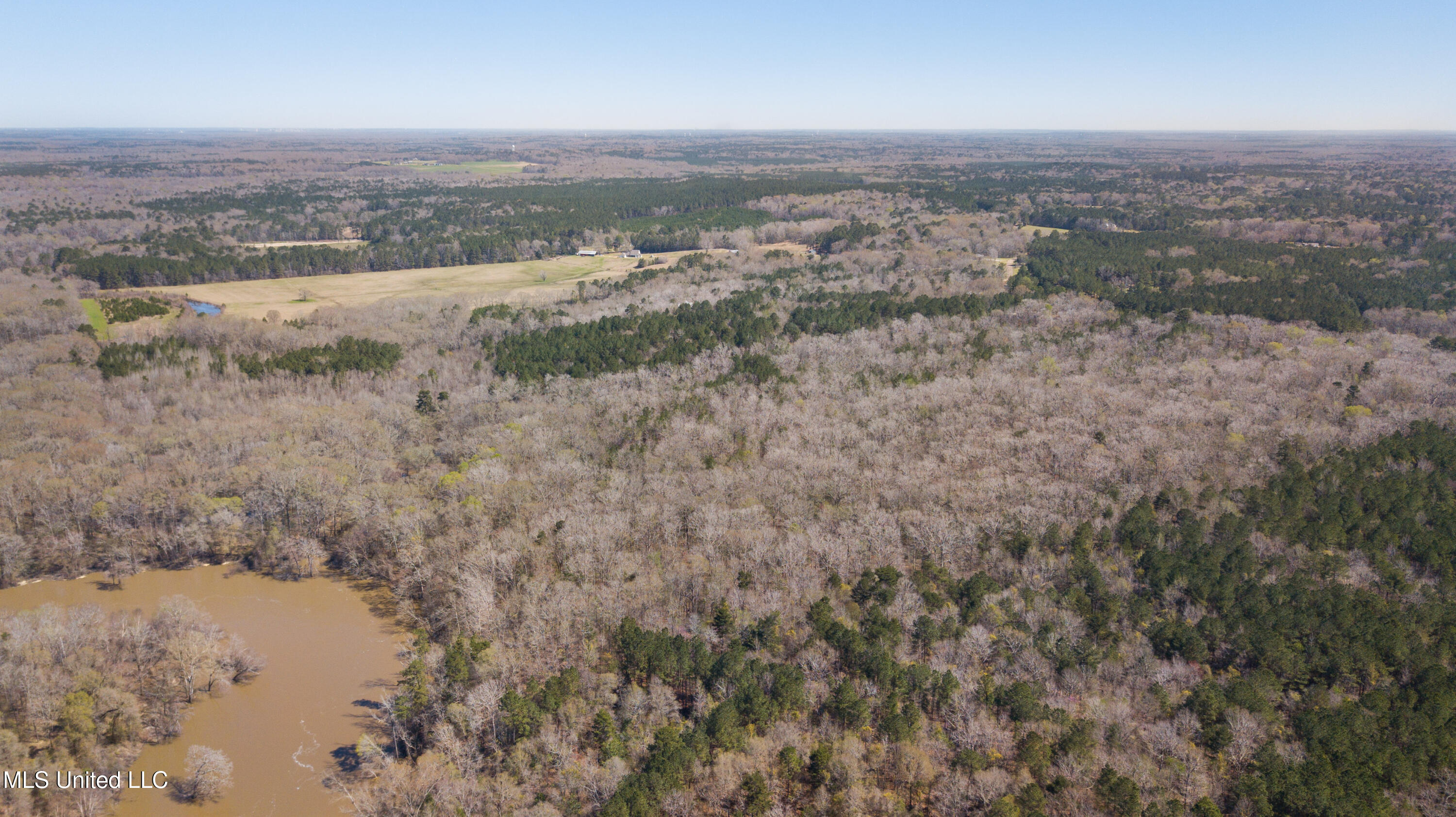 481 Ward Road Florence, MS 39073 - Photo 5 of 21 AE31FE69-A678-43A9-B7E4-2D7E9C5EF949