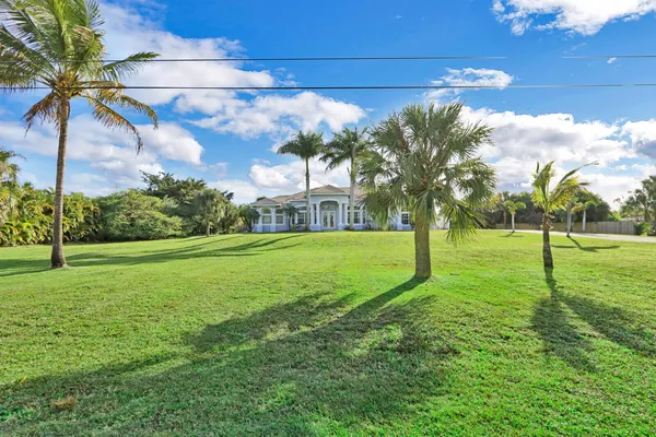 a view of a garden with a tree
