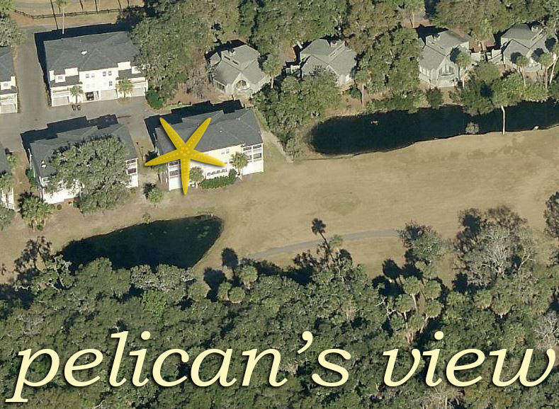 590 King Cotton Road, Unit 4 Edisto Beach, SC 29438 - Photo 3 of 36 3 aerial