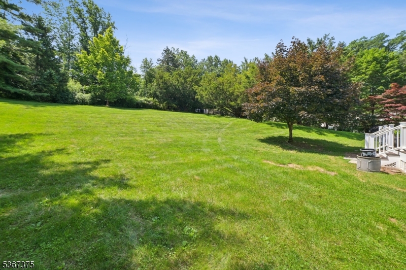 415 Fairmount Avenue Chatham, NJ 07928 - Photo 29 of 29