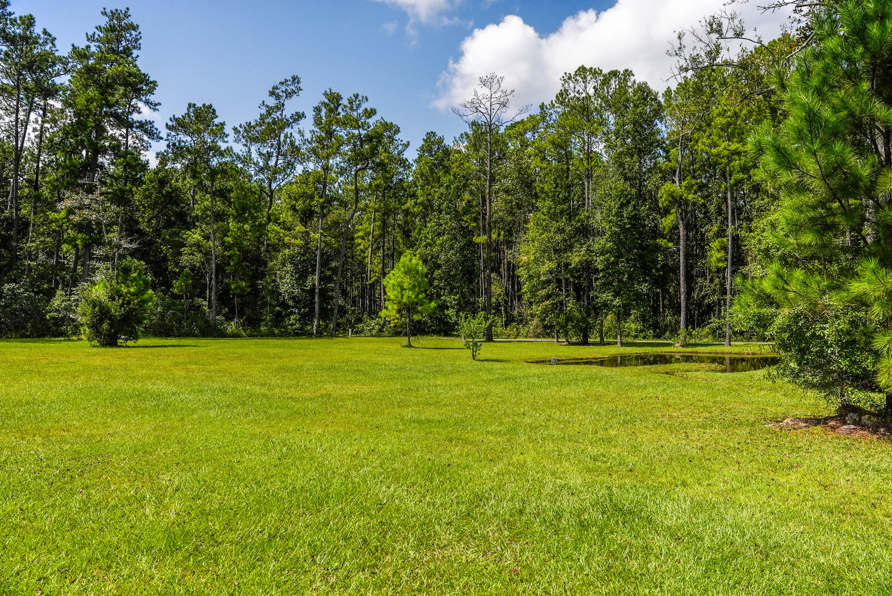 1038 Calestown Road Bonneau, SC 29431 - Photo 56 of 60 DSC09617-HDR