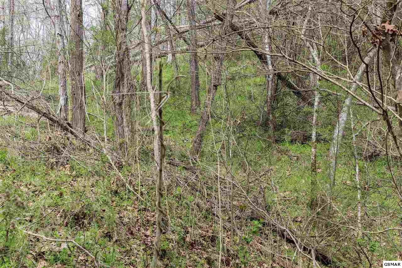 1940 Long Branch Road Seymour, TN 37865 - Photo 16 of 35 Gallery Image 16