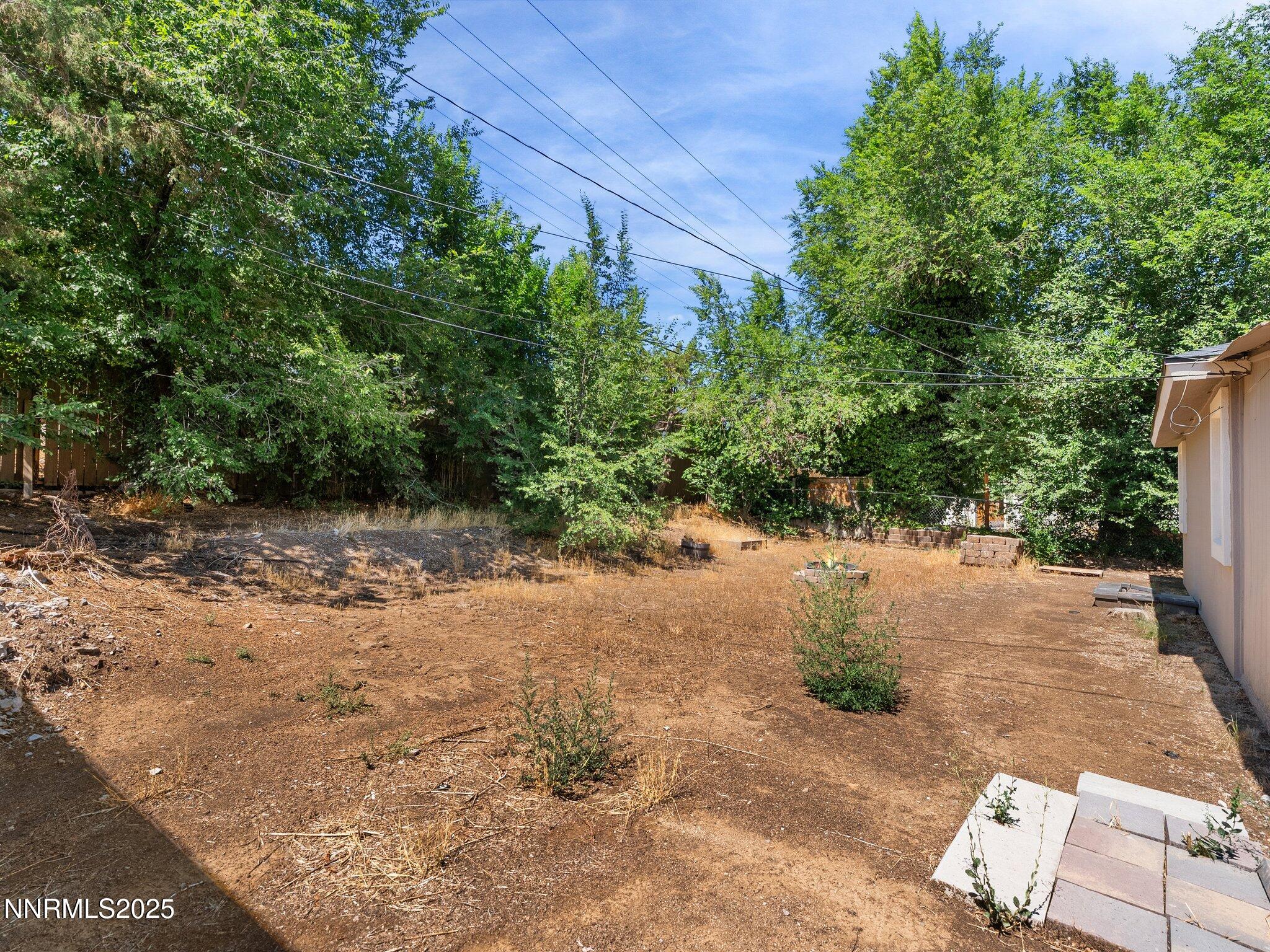 1955 Wilder Street Reno, NV 89512 - Photo 27 of 31 a view of a yard with plants and large trees