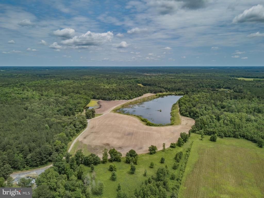 0 Mt Hermon Road Parsonsburg, MD 21849 - Photo 2 of 10 a view of a lake with a yard
