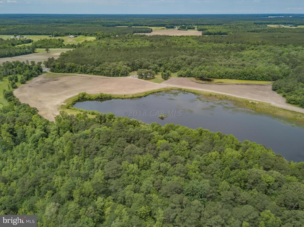 0 Mt Hermon Road Parsonsburg, MD 21849 - Photo 3 of 10 a view of a field with an ocean