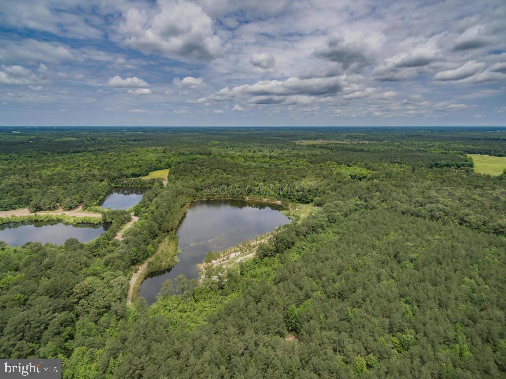 0 Mt Hermon Road Parsonsburg, MD 21849 - Photo 4 of 10 a view of a lake with a big yard