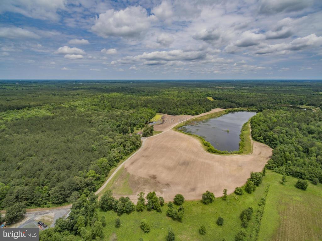 0 Mt Hermon Road Parsonsburg, MD 21849 - Photo 5 of 10 a view of a lake with a yard