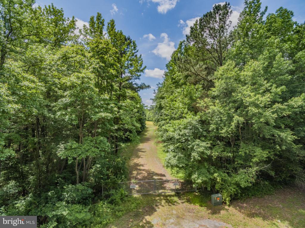 0 Mt Hermon Road Parsonsburg, MD 21849 - Photo 7 of 10 a view of a lake view with houses in back