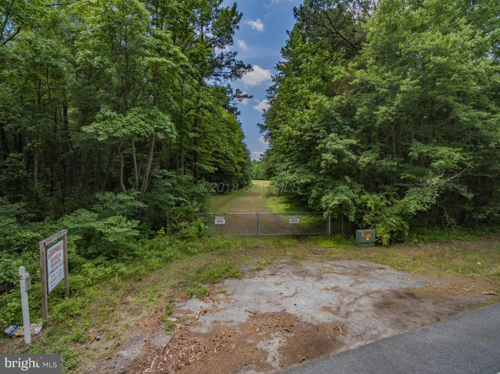 0 Mt Hermon Road Parsonsburg, MD 21849 - Photo 8 of 10 a view of a yard with plants and large trees