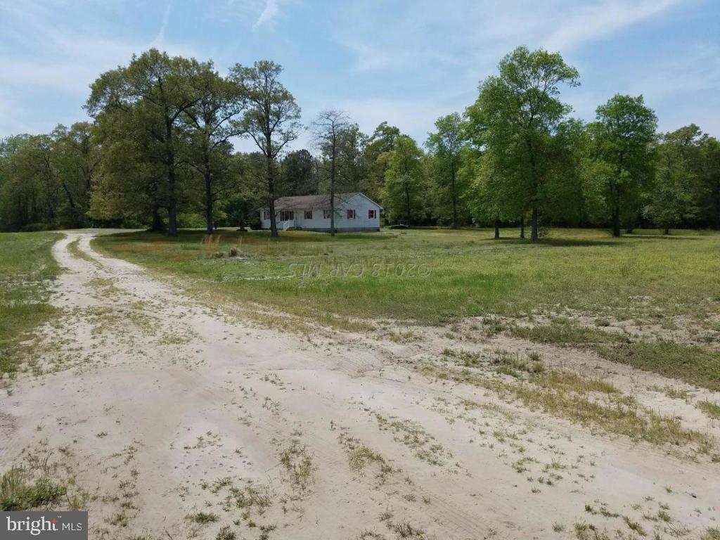 0 Mt Hermon Road Parsonsburg, MD 21849 - Photo 10 of 10 a view of a garden with trees