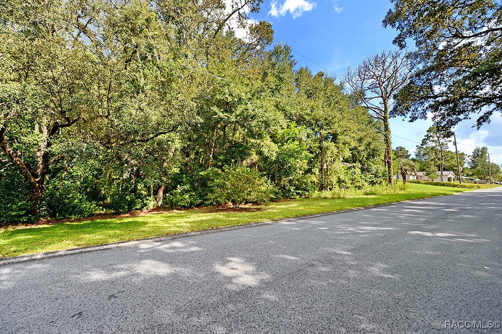 916 Tulane Terrace Inverness, FL 34450 - Photo 4 of 9 Gallery Image 4