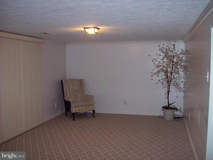 7933 Central Road Pasadena, MD 21122 - Photo 11 of 14 Basement #2