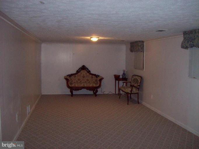 7933 Central Road Pasadena, MD 21122 - Photo 10 of 14 Basement #1
