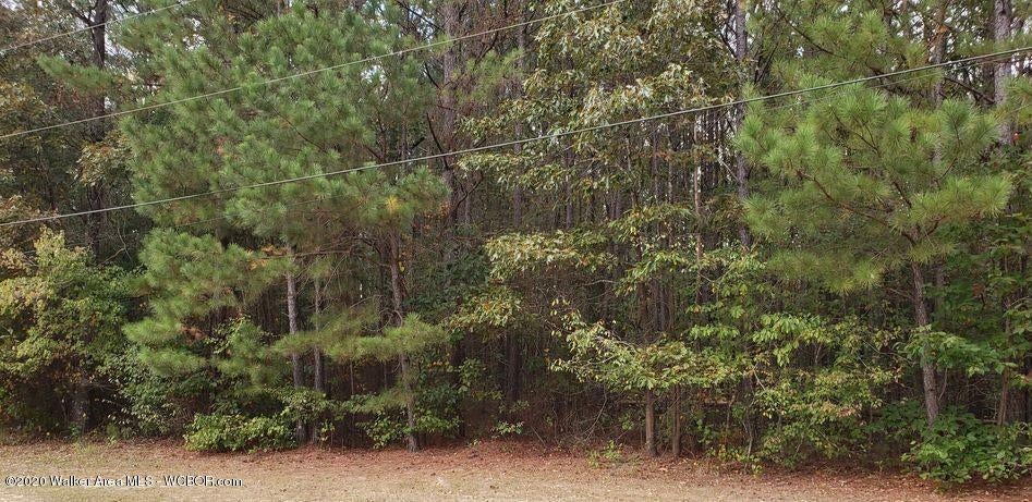 12 Arrowhead Road Jasper, AL 35503 - Photo 5 of 16 Gallery Image 5