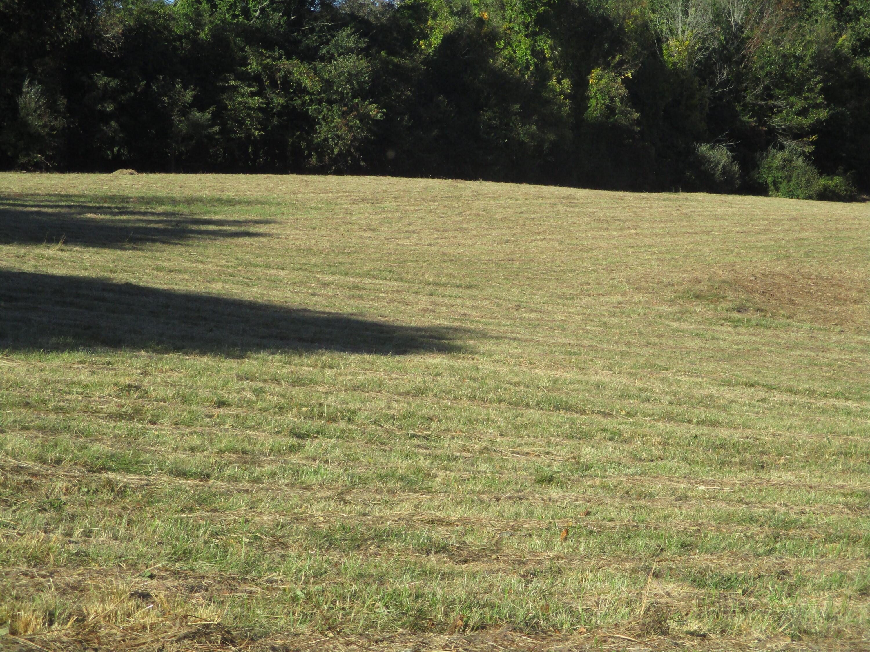 545 Lovelace Road Fall Branch, TN 37656 - Photo 27 of 38 IMG_2990